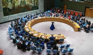 خبير دولي: فشل مجلس الأمن في قبول عضوية فلسطين انحياز سافر للاحتلال الإسرائيلي