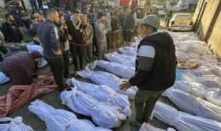 أخبار اليمن : ارتفاع حصيلة شهداء غزة إلى 34049