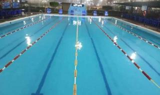 وكيل وزارة الشباب والرياضة بالجيزة يشكل لجنة للمتابعة الدقيقة لجميع حمامات السباحة