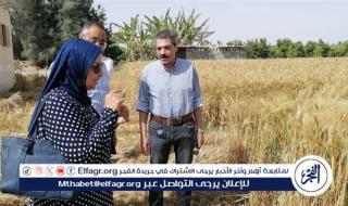 فعاليات الجولة التفقدية بمزارع القمح والبرتقال بكلية الزراعة جامعة عين شمس
