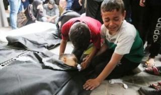 أخبار اليمن : ارتفاع عدد الشهداء في غزة إلى 34844