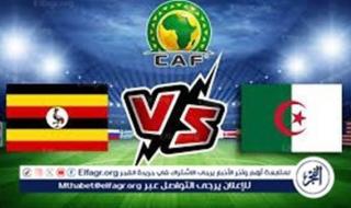 يلا شوت الآن.. بث مباشر مشاهدة مباراة الجزائر وأوغندا اليوم في تصفيات كأس العالم 2026