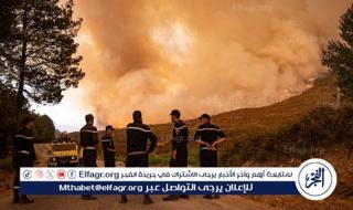 اندلاع حرائق غابات في عدة ولايات جزائرية