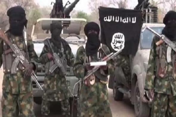مصادر: تنظيم داعش الإرهابي في غرب أفريقيا يجتاح بلدة ران شرقي نيجيريا