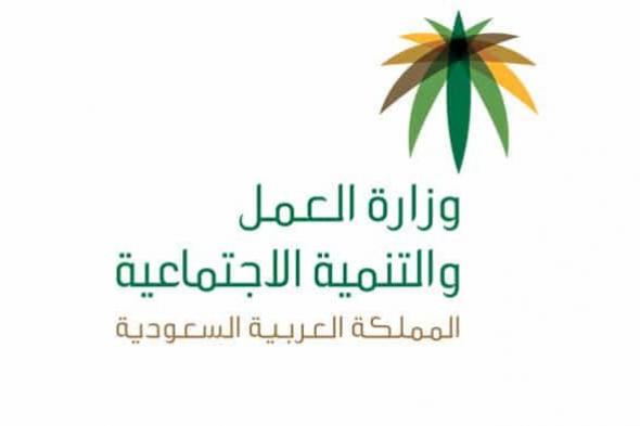 رابط وزارة العمل استعلام عن موظف وافد برقم هوية الكفيل عبر خدمات مكتب العمل السعودي