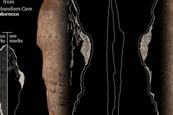 صور.. مغارة مغربية تكشف أقدم الأدلة على بداية صنع الملابس