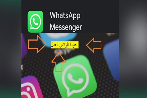 عاجل .. عودة الواتس WhatsApp للعمل و 3 أشياء عليك التحقق منها