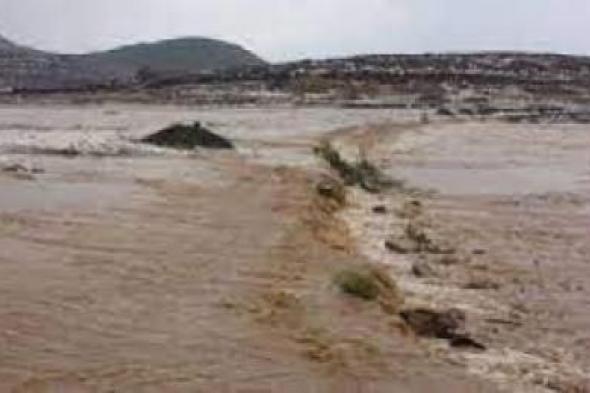 أخبار اليمن : تنبيه هام .. رصد كمية الأمطار في 3 محافظات