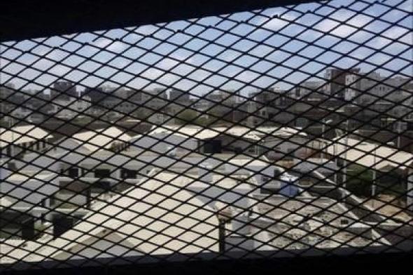 أخبار اليمن : مطالبة أممية للامارات بوقف التعذيب بحق قواتها في اليمن