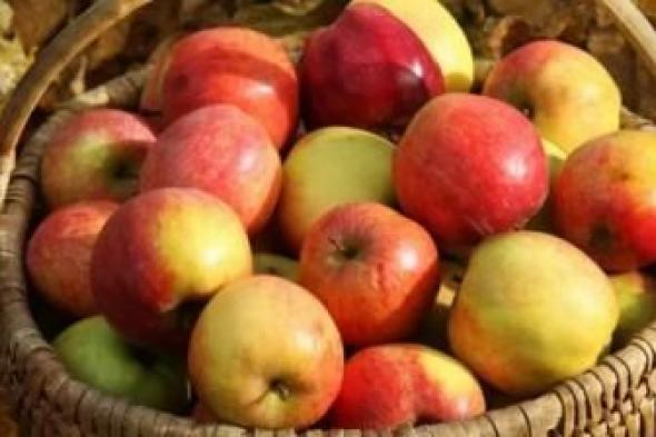 أخبار اليمن : هذا ما يحدث لجسمك عند تناول التفاح يومياً
