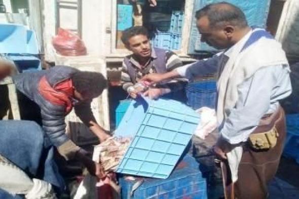 أخبار اليمن : صنعاء.. إتلاف طن من الأسماك الفاسدة