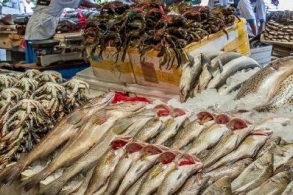 أسعار الأسماك اليوم السبت 29 أكتوبر 2022: زيادة أكتر من 15 جنيه