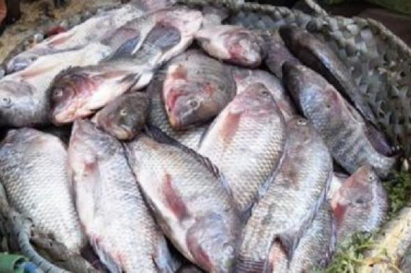 أسعار الأسماك اليوم الأثنين 31 أكتوبر 2022: البلطي وقع من فوق تحت