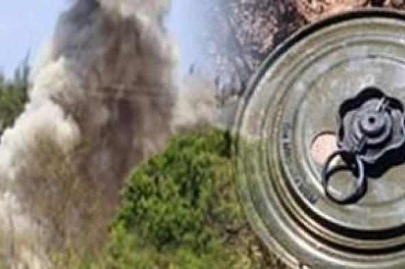 أخبار اليمن : شهيدان بانفجار لغم من مخلفات العدوان في الجوف