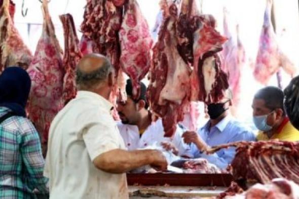 أسعار اللحوم اليوم الأحد 13 نوفمبر 2022: الكندوز عمل مصيبة في السوق