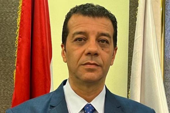 المستشار وليد حمزة رئيسا للهيئة الوطنية للانتخابات