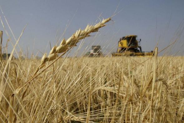 الاتحاد الأوروبي يرفع القيود المفروضة على واردات الحبوب…