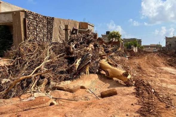 رئيس المنظمة العربية لحقوق الإنسان في ليبيا يكشف لـ "الفجر" خطة إعادة إعمار درنة بعد كارثة “دانيال” (حوار)