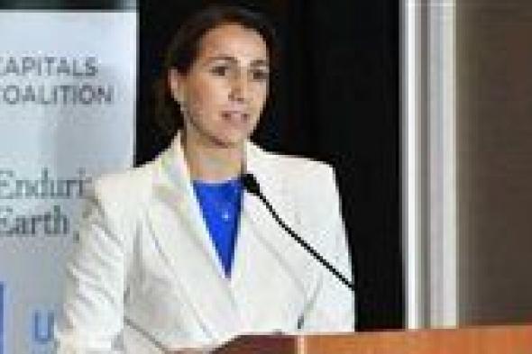 الإمارات تعلن عن تأييد مبادرة "تنمية القرم"