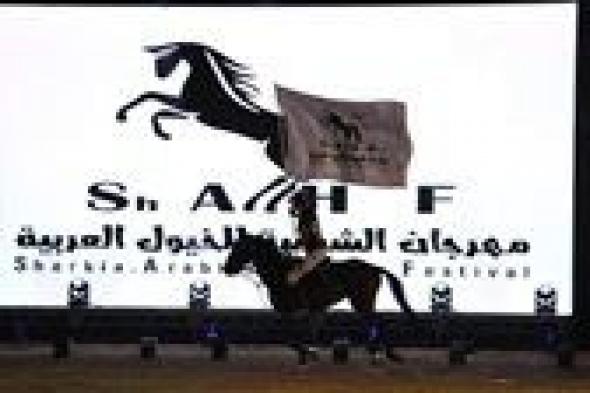 انطلاق فعاليات مهرجان “الخيول العربية” بالشرقية و“هي للفنون” بالجامعة الأمريكية