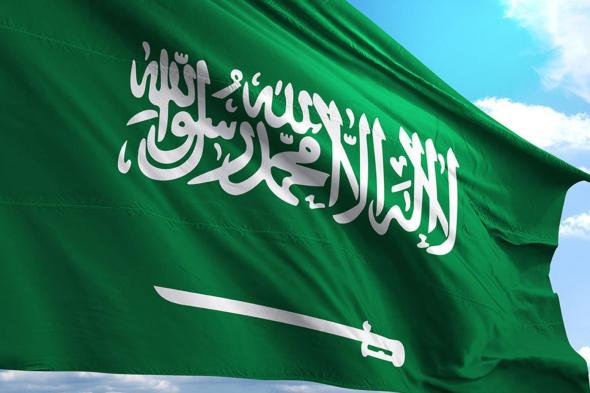 اتفرج.. السعودية تسعد قلوب المقيمين وأسرهم وتمنح امتيازات جديدة للمواليد في المملكة!