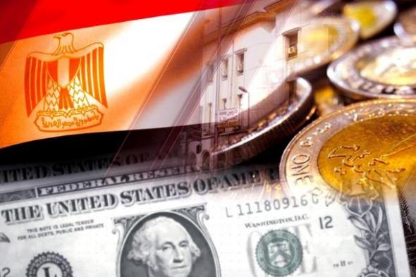 مؤشر مديري المشتريات في مصر يتراجع إلى 48.7 نقطة خلال سبتمبر