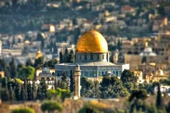 القدس عاصمة فلسطين.. حملة قوية من العرب لتصحيح خطأ جوجل بشأن اسرائيل