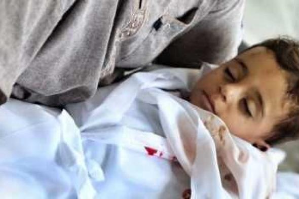 أخبار اليمن : إرتفاع عدد شهداء غزة إلى 704 بينهم 140 طفلاً