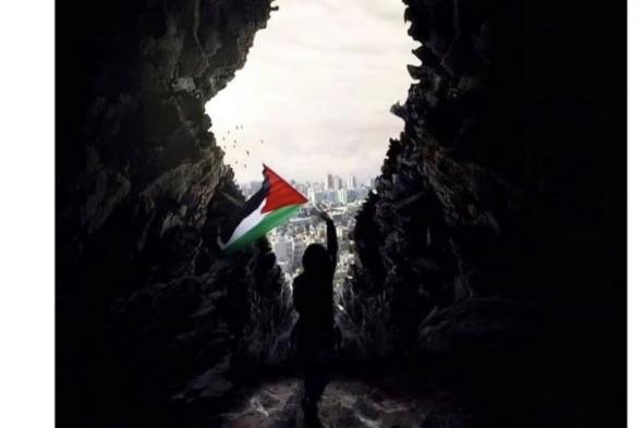 "فلسطين في القلب".. عمرو يوسف يدعم فلسطين