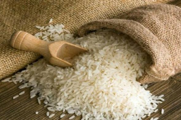أسعار الأرز اليوم الأثنين 16 أكتوبر 2023 .. تراجع كبير في طن الشعير