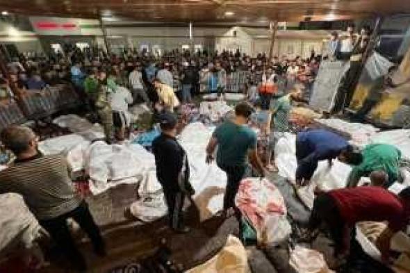 أخبار اليمن : 15565 شهيداً وجريحاً في العدوان على غزة
