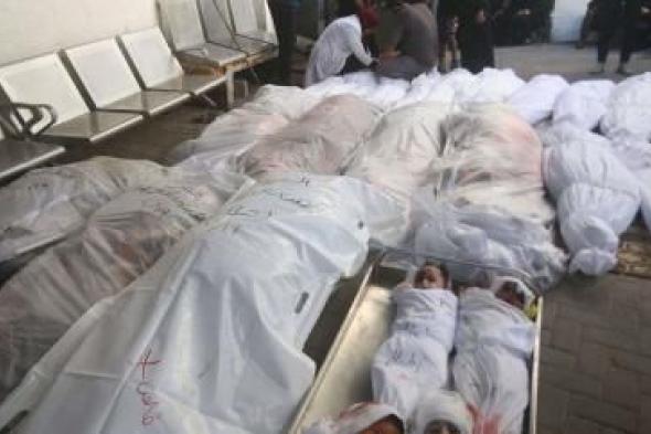 أخبار اليمن : أكثر من 8000 شهيد في غزة جلهم من الأطفال