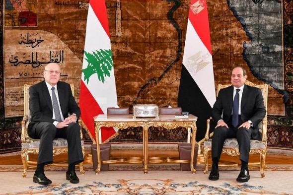 السيسي ورئيس وزراء لبنان يؤكدان أهمية العمل الدولي المكثف…
