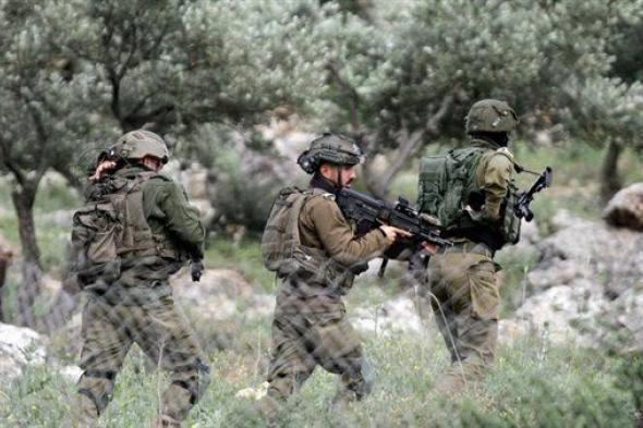 الاحتلال الإسرائيلي يجرف 70 شجرة زيتون في بلدة حارس بالضفة الغربية