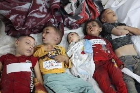 أخبار اليمن : 30 يوماً للعدوان على غزة.. مجازر دموية وإبادة جماعية