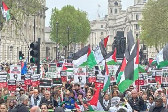 رغم الجدل الحاد .. مليونية في لندن تضامنًا مع فلسطين .. فيديو