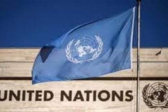 الأمم المتحدة: استمرار القصف لشهر ثان سيؤدي لارتفاع معدل الفقر بفلسطين 34%