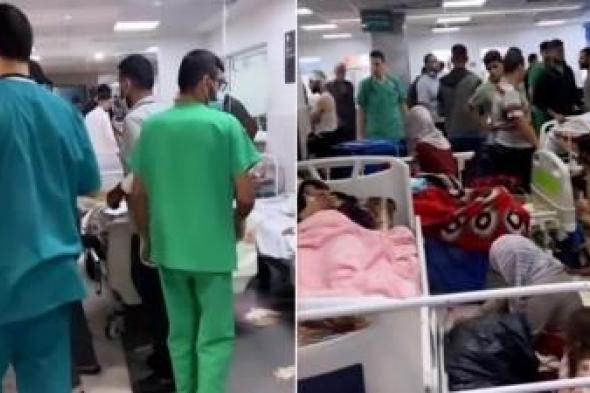 أخبار اليمن : غزة.. دفن جماعي لـ170 شهيداً داخل مستشفى الشفاء