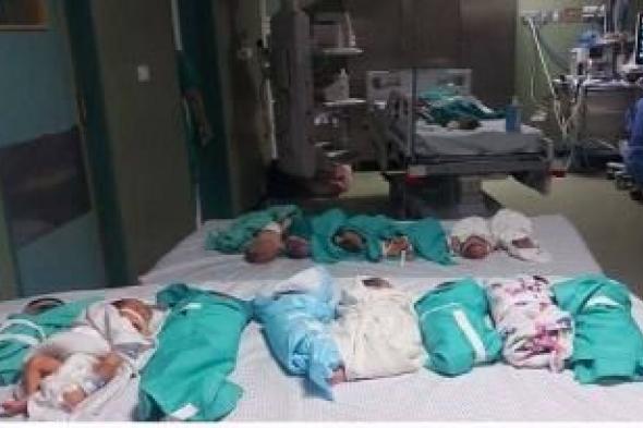 أخبار اليمن : 11 الف شهيدا .. الاحتلال يقتحم مجمع الشفاء الطبي بغزة