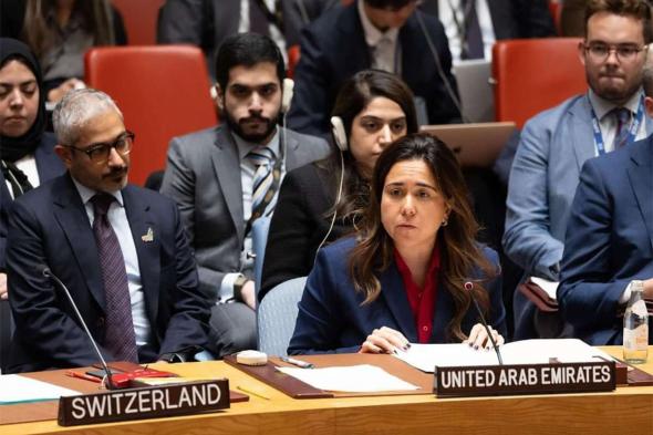 الإمارات ترحب باعتماد أول قرار لمجلس الأمن بشأن الصراع الفلسطيني الإسرائيلي منذ عام 2016 حول الحرب على غزة