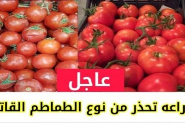 “خراب بيوت مستعجل” .. وزارة الصحة تحذر من شراء هذا النوع القاتل من الطماطم .. اوعى تشتريه ولو ببلاش