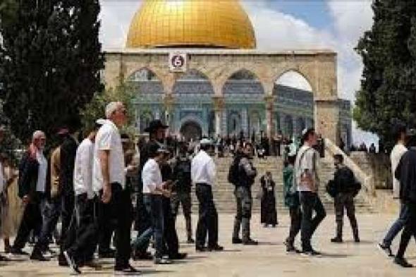 وسط حماية من شرطة الاحتلال الإسرائيلي.. عشرات المستوطنين يقتحمون المسجد الأقصى