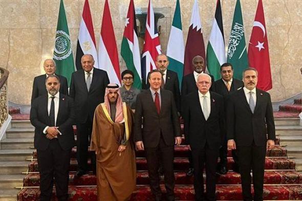 اللجنة الوزارية المكلفة من القمة العربية الإسلامية المشتركة تعقد اجتماعًا رسميًا مع الرئيس الفرنسي