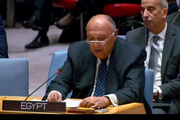 وزير الخارجية أمام مجلس الأمن: إسرائيل تتعمد جعل الحياة في…