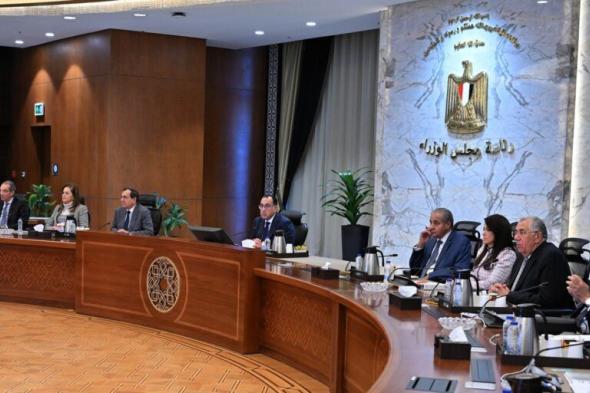 الحكومة: 55 مشروعا ونشاطا قائما بين مصر ودول البريكس