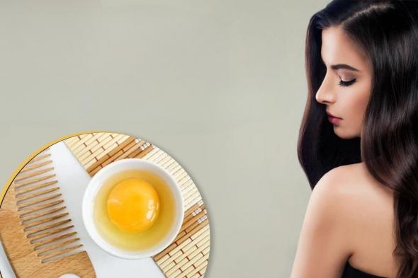 طريقة عمل شامبو البيض الطبيعي المغذي للشعر في البيت