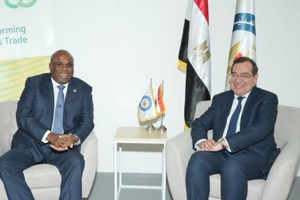 وزير البترول يبحث مع رئيس أفريكسيم بنك دعم مشروعات التعدين…