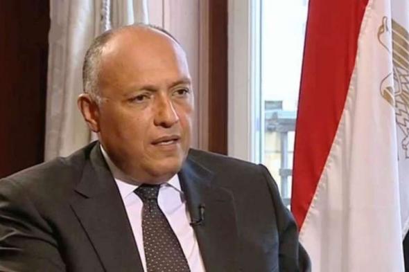 وزير الخارجية يعقد مائدة مستديرة بواشنطن حول الرؤية المصرية…