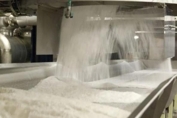 الفيوم للسكر: استيراد 75 ألف طن سكر خام بقيمة 52 مليون دولار