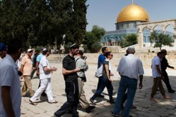 مستوطنون إسرائيليون يقتحمون المسجد الأقصى بحماية الاحتلال الإسرائيلى